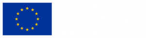 ES_Financiado_por_la_Unión_Europea_RGB_NEG